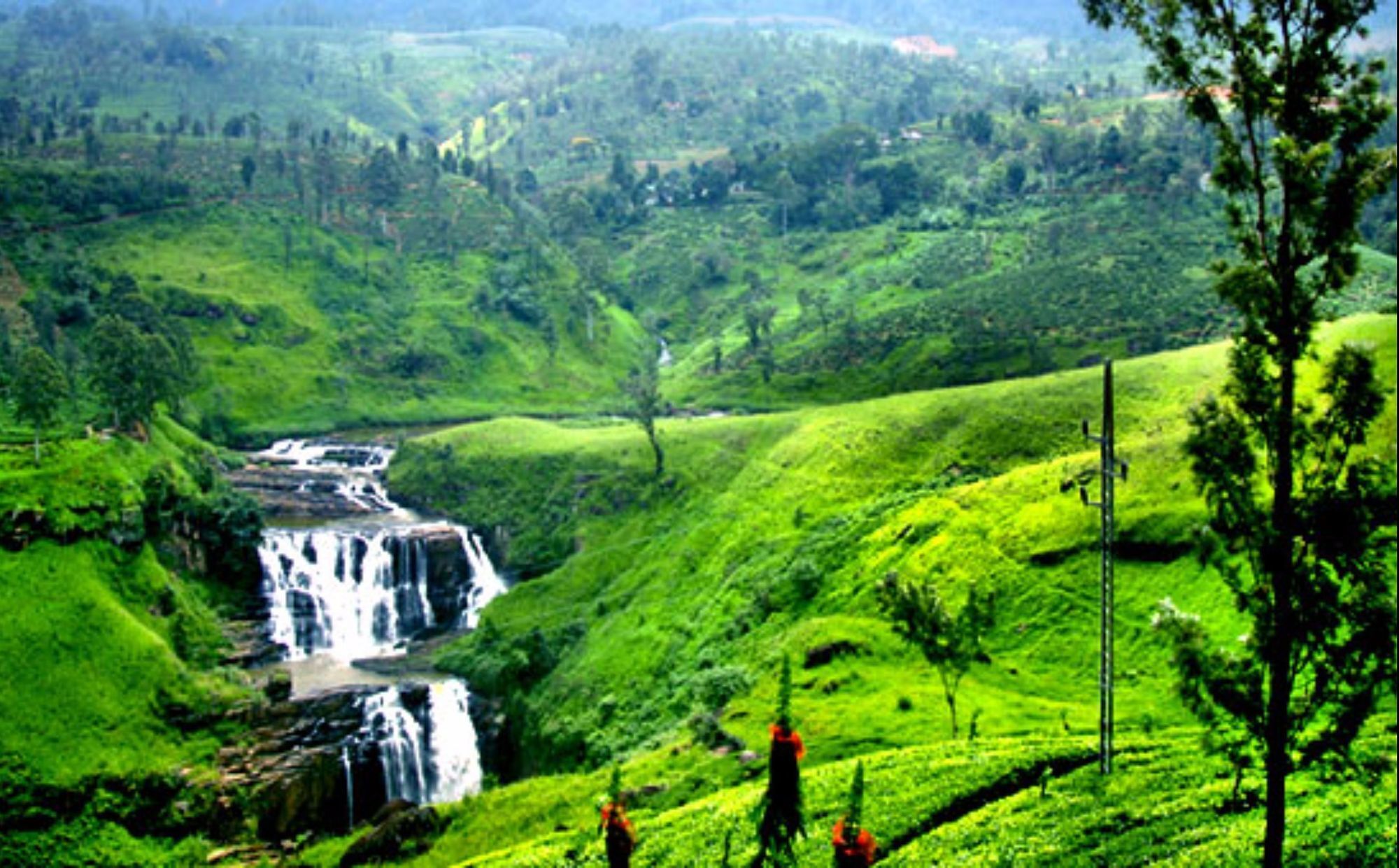 Cottage 42 Nuwara Eliya Dış mekan fotoğraf