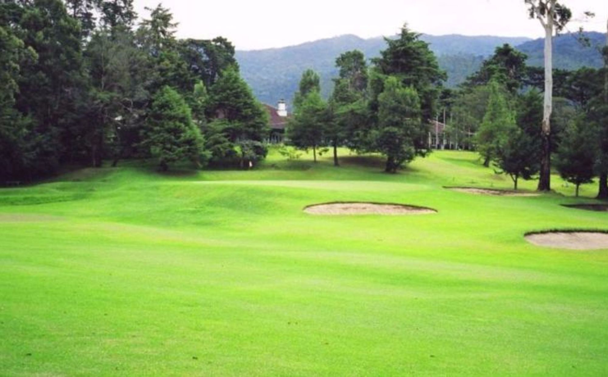 Cottage 42 Nuwara Eliya Dış mekan fotoğraf