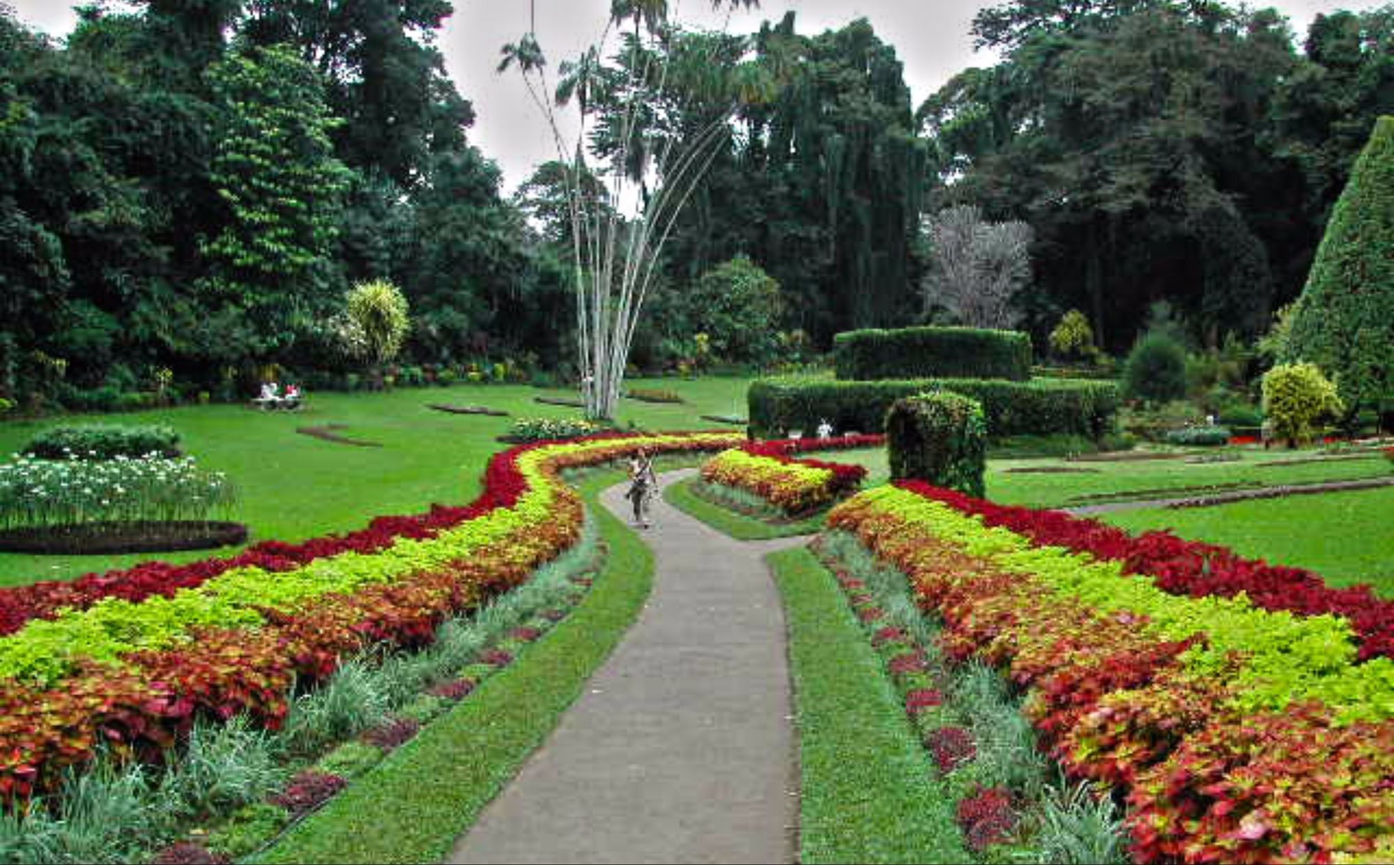 Cottage 42 Nuwara Eliya Dış mekan fotoğraf